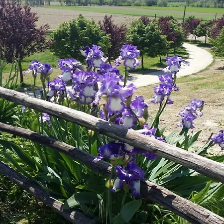 Tenuta La Gatta